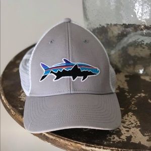 Patagonia Trucker Hat